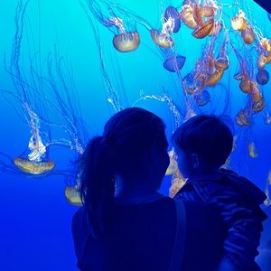 Meet your Posher, Kim